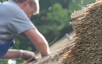 professional Nether Cerne thatchers