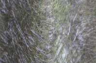 Nether Cerne fibreglass roof work